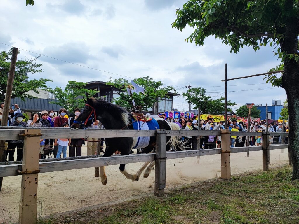 国府宮神社の参道を颯爽と駆け抜ける飾り馬。梅酒盛神事(馬まつり)   