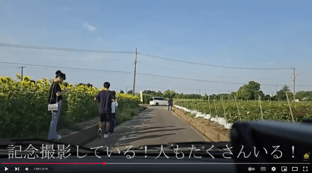 稲沢市千代田ひまわり畑で記念撮影する人々
