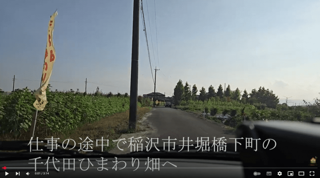 稲沢市千代田ひまわり畑へ向かう道路沿いの風景
