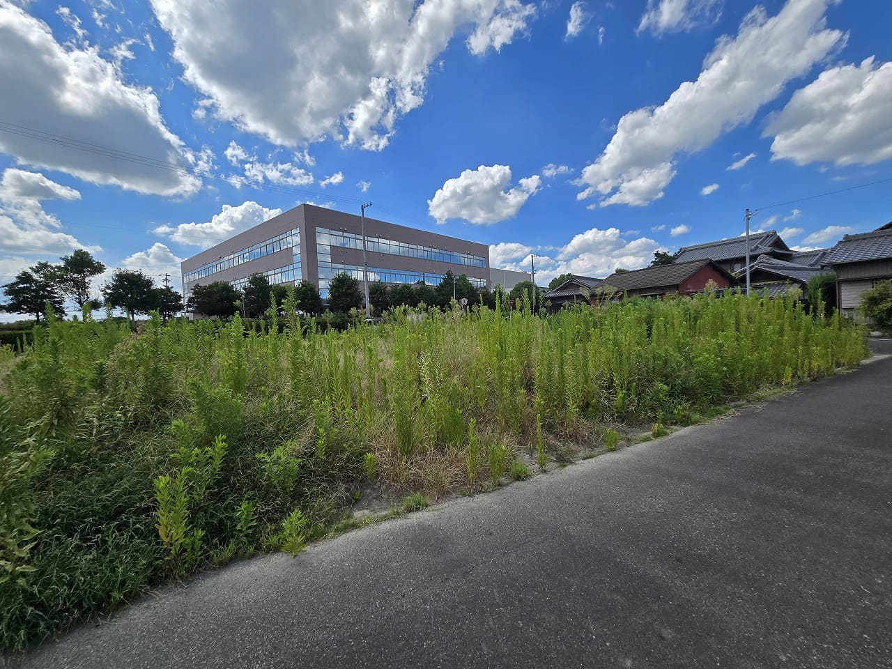 稲沢市陸田本町二号地の売地写真|北東角地・建築条件なし土地を東側から撮影