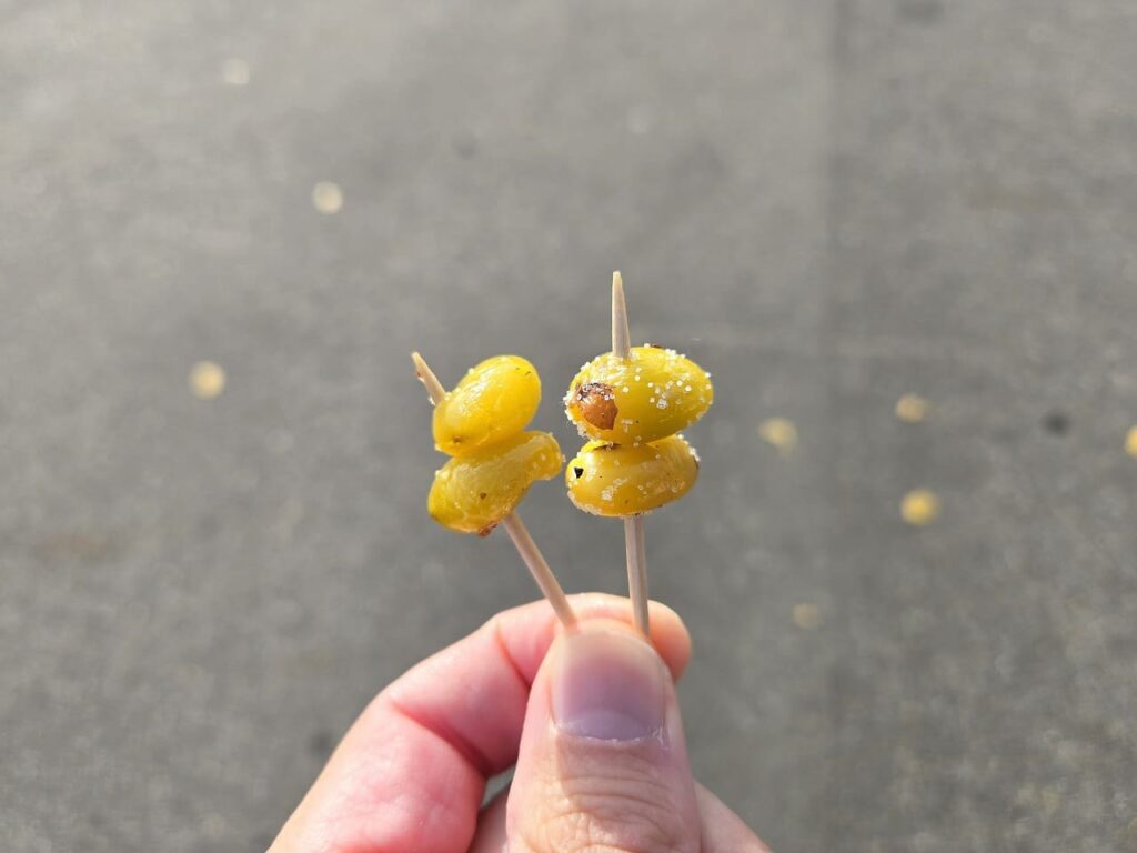 祖父江イチョウ黄葉まつりの銀杏試食コーナーで提供された、爪楊枝に刺された2粒の銀杏。左側は揚げた銀杏で表面に衣がついており、右側は塩が振りかけられた焼き銀杏。手に持った状態で撮影されており、背景には会場の地面がぼやけて写っている。祖父江の特産品である銀杏の試食の様子を表現した写真。