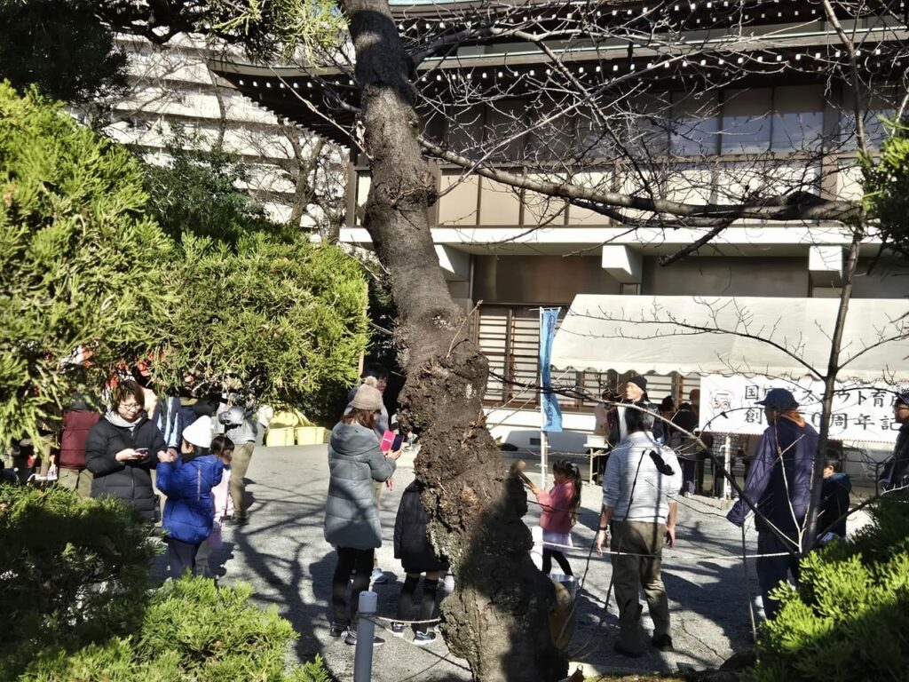 国府宮神社の境内で初詣を楽しむ家族連れの様子。木の幹を中心に、子供連れの参拝者たちが歩いている。背景には神社の建物と「国府宮スカウト育成会」の看板が見える。