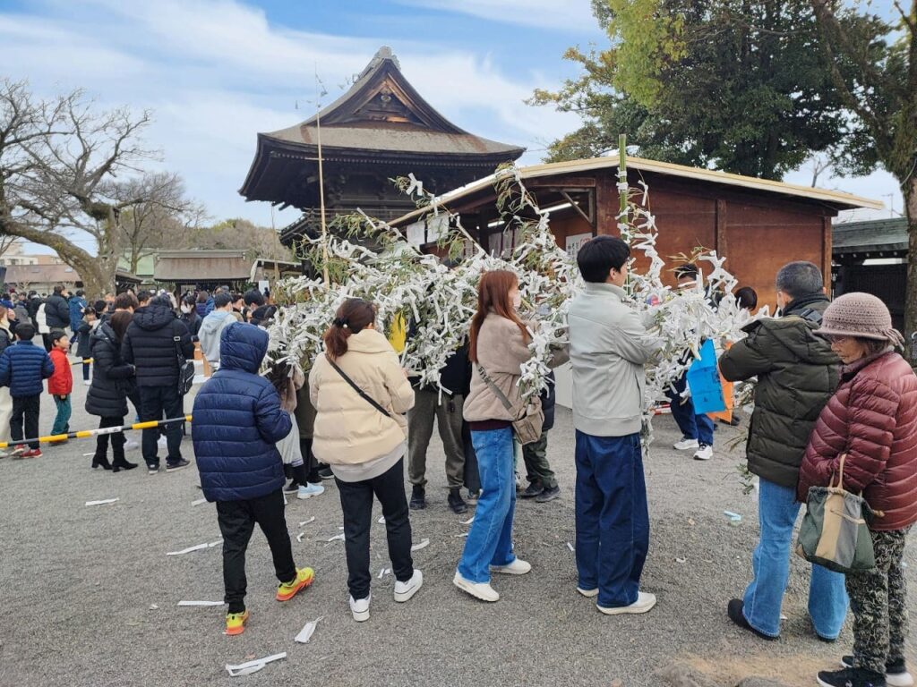 国府宮神社の境内に設置されたおみくじを結ぶための笹。たくさんの白いおみくじが結ばれており、参拝者が次々とおみくじを結んでいる。背景には「笹市」の案内看板が見える。