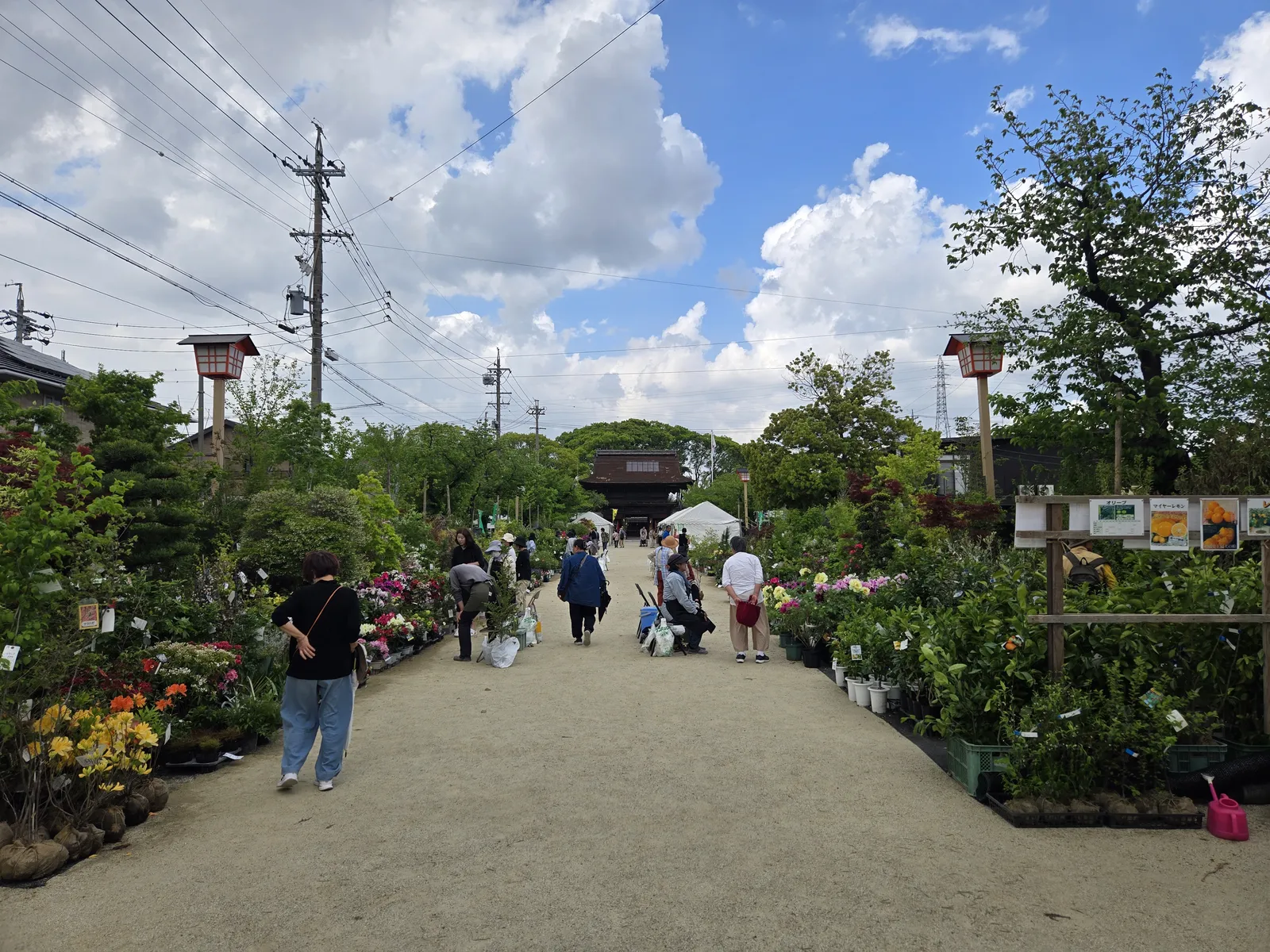 色とりどりの花と植木が並ぶ国府宮神社の参道を歩く来場者|いなざわ植木まつり|稲沢あんしん不動産