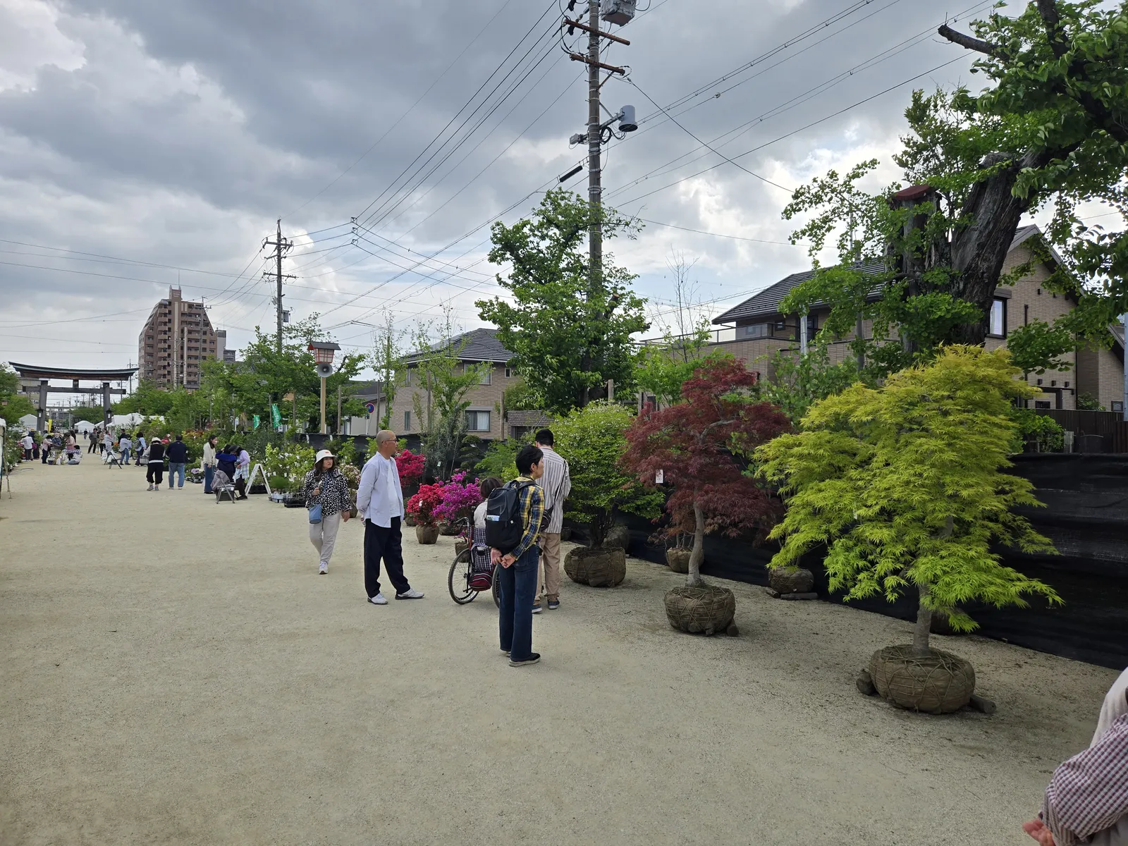 紅葉や庭木が並ぶ国府宮神社の参道で植木を見る来場者|いなざわ植木まつり|稲沢あんしん不動産