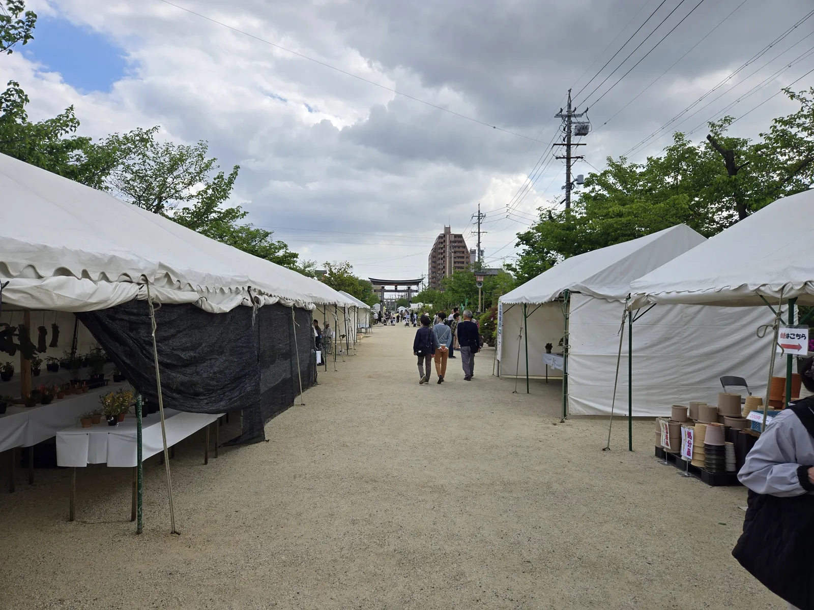いなざわ植木まつりの盆栽展示テントと植木鉢販売ブース|稲沢あんしん不動産