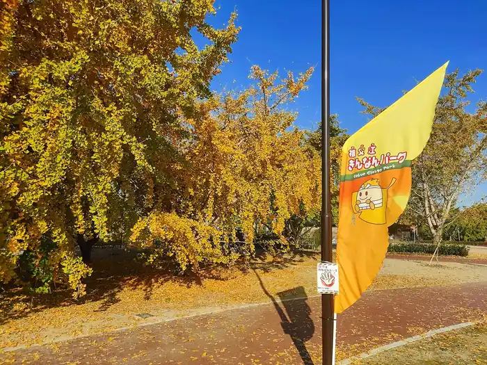 黄色い旗に「祖父江ぎんなんパーク Sobue Ginkgo Park」の文字とぎんなんのキャラクターが描かれた案内旗。旗の奥には黄色く色づいたいちょうの木々が並び、青空が広がっている。旗の下には落ち葉を持ち帰らないよう呼びかける小さな注意書きが掲げられている。