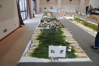 室内の農業総合品評会場。灰色の床に敷かれた白いシートの上に、太くまっすぐ育った長ねぎの束が「ねぎ」と書かれた紙の札とともに何十本も一列に整然と並べられ、奥の壁際にも他の野菜が並ぶ展示台がいくつも見え、手前には見学する来場者の後ろ姿も小さく写っている。