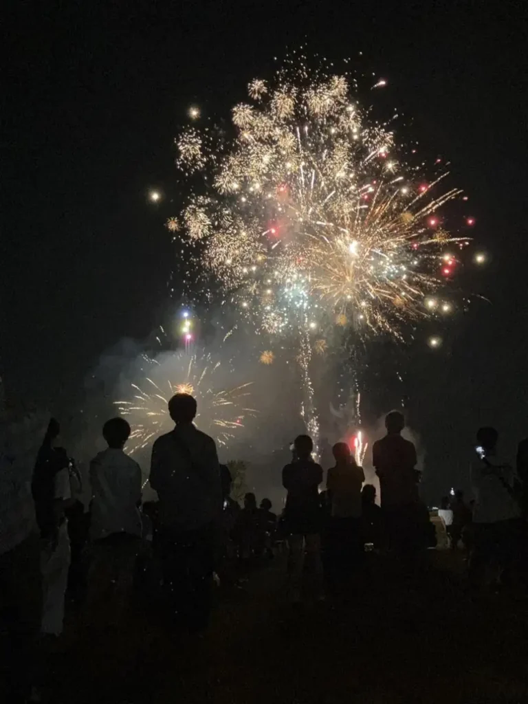 夜空に開く金色の花火の下、大勢の来場者が後ろ姿・シルエットで花火を見上げている一宮市びさい夏まつりの様子。手前に観客の黒いシルエットが並び、中央上空に大輪の打ち上げ花火が開いている構図。