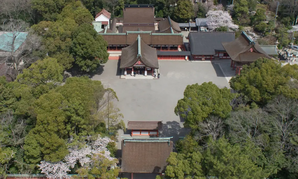 愛知県津島市の津島神社境内を上空から撮影した写真。檜皮葺の茶色い屋根を持つ本殿・拝殿・回廊などの社殿群が中央に並び、朱塗りの柱の建物と深緑の木々に周囲を囲まれている。手前左には満開の桜の木が写り込み、参拝者らしき小さな人影も見える。
