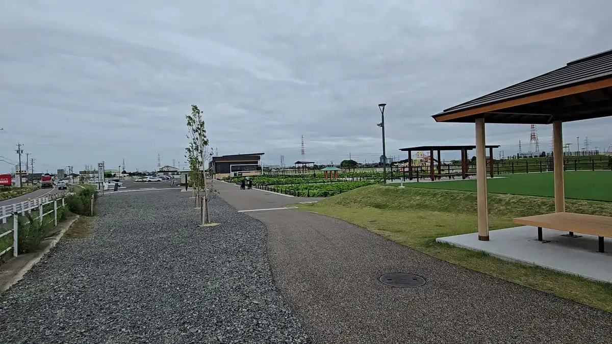 HASUパークの園路から花はす田、休憩用の東屋、遊具、はす見テラス方面を見渡した広角写真。左側には道路沿いの水路と駐車場が見え、東西の施設を歩いて回る現地の位置関係が分かる。公園全体の広さと回遊性も伝わる一枚